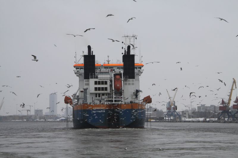 Review of cargo handling in klaipėda and other eastern coast Baltic sea ports in January of 2013